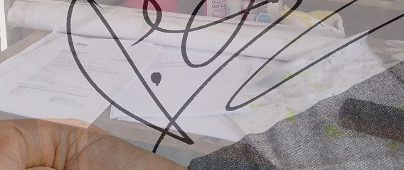 firmacontrato